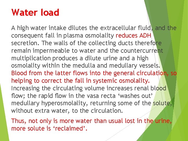 Water load A high water intake dilutes the extracellular fluid, and the consequent fall