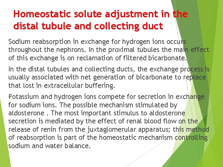 Homeostatic solute adjustment in the distal tubule and collecting duct Sodium reabsorption in exchange