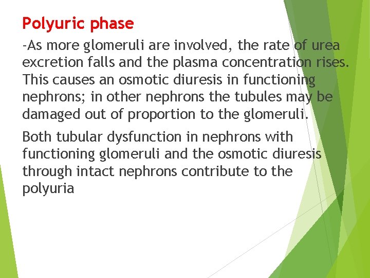 Polyuric phase -As more glomeruli are involved, the rate of urea excretion falls and