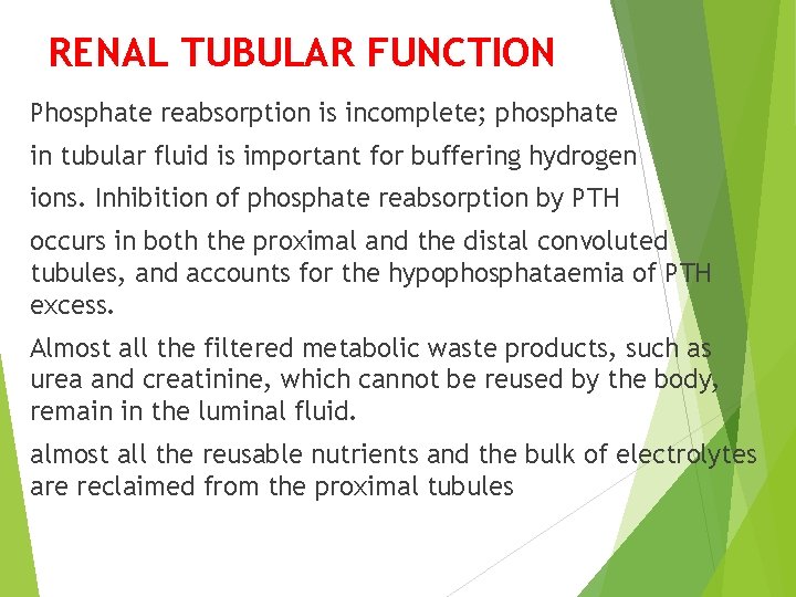 RENAL TUBULAR FUNCTION Phosphate reabsorption is incomplete; phosphate in tubular fluid is important for