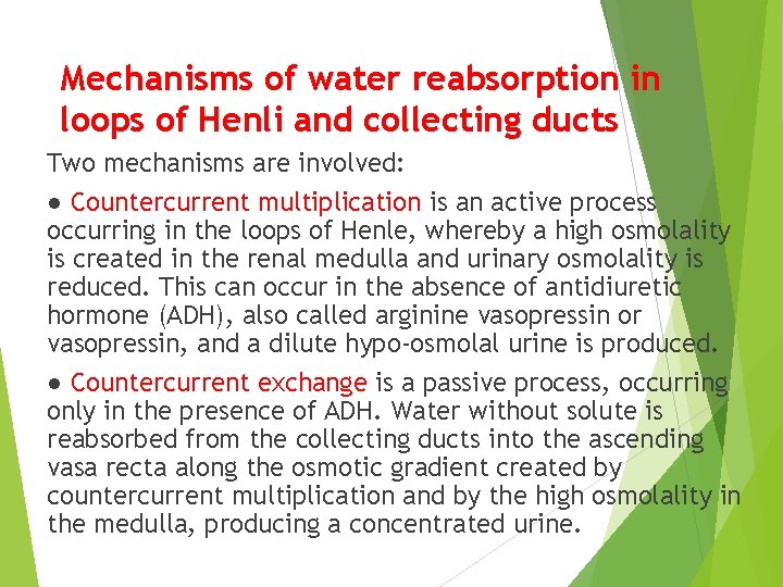 Mechanisms of water reabsorption in loops of Henli and collecting ducts Two mechanisms are