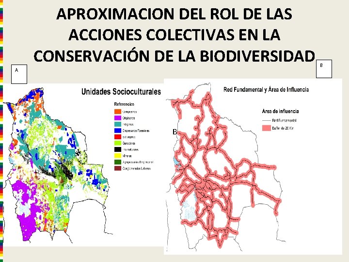 APROXIMACION DEL ROL DE LAS ACCIONES COLECTIVAS EN LA CONSERVACIÓN DE LA BIODIVERSIDAD A