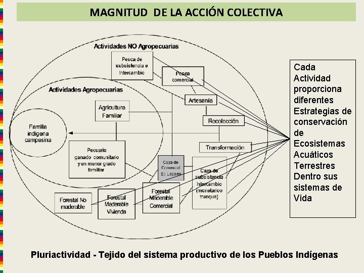 MAGNITUD DE LA ACCIÓN COLECTIVA Cada Actividad proporciona diferentes Estrategias de conservación de Ecosistemas