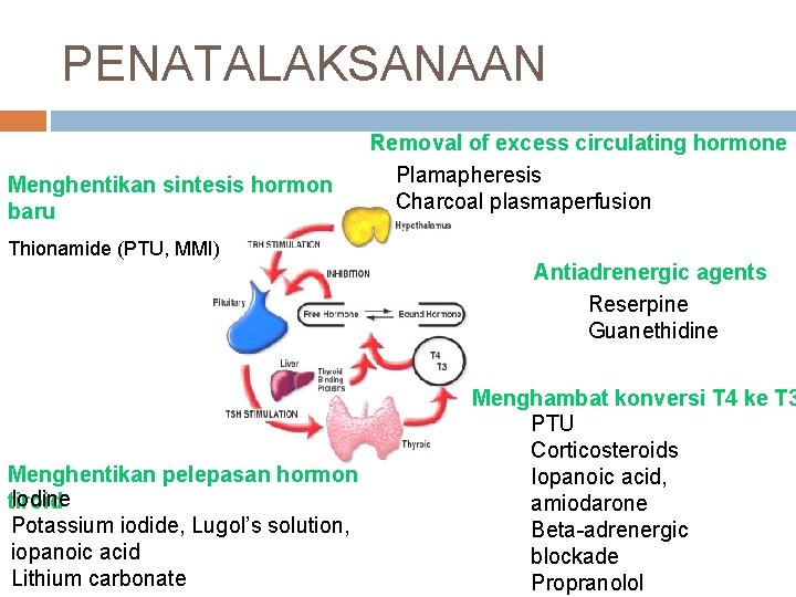 PENATALAKSANAAN Menghentikan sintesis hormon baru Removal of excess circulating hormone Plamapheresis Charcoal plasmaperfusion Thionamide PENATALAKSANAAN Menghentikan sintesis hormon baru Removal of excess circulating hormone Plamapheresis Charcoal plasmaperfusion Thionamide