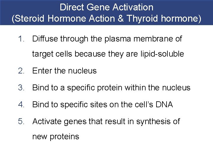 Direct Gene Activation (Steroid Hormone Action & Thyroid hormone) 1. Diffuse through the plasma