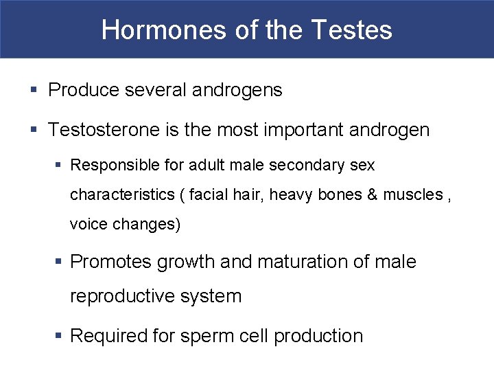 Hormones of the Testes § Produce several androgens § Testosterone is the most important