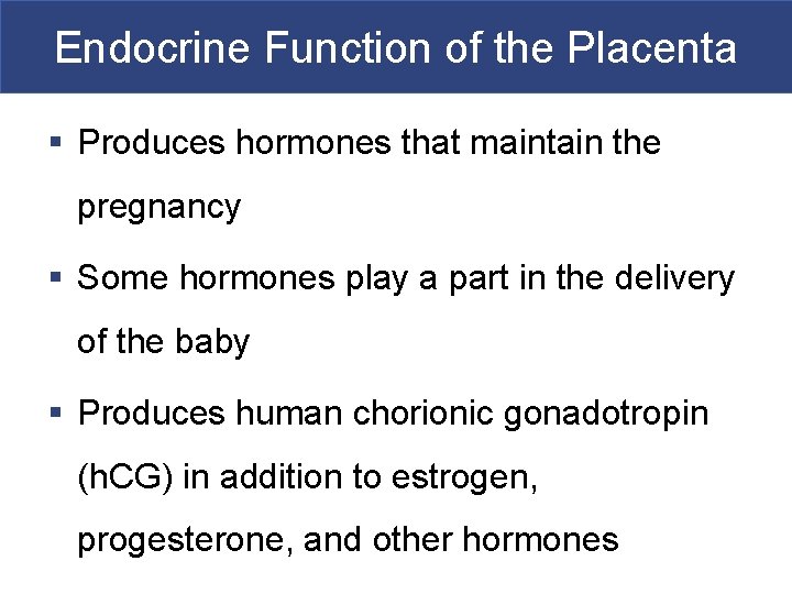 Endocrine Function of the Placenta § Produces hormones that maintain the pregnancy § Some