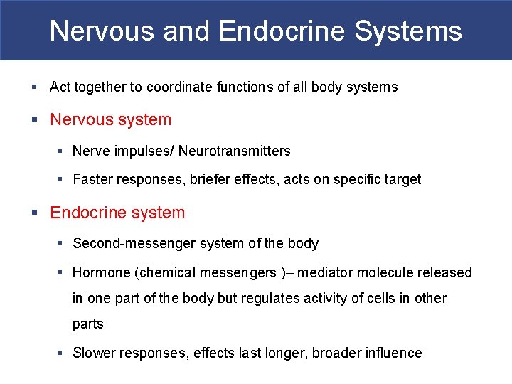 Nervous and Endocrine Systems § Act together to coordinate functions of all body systems