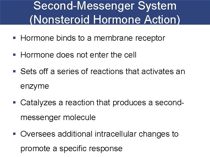 Second-Messenger System (Nonsteroid Hormone Action) § Hormone binds to a membrane receptor § Hormone