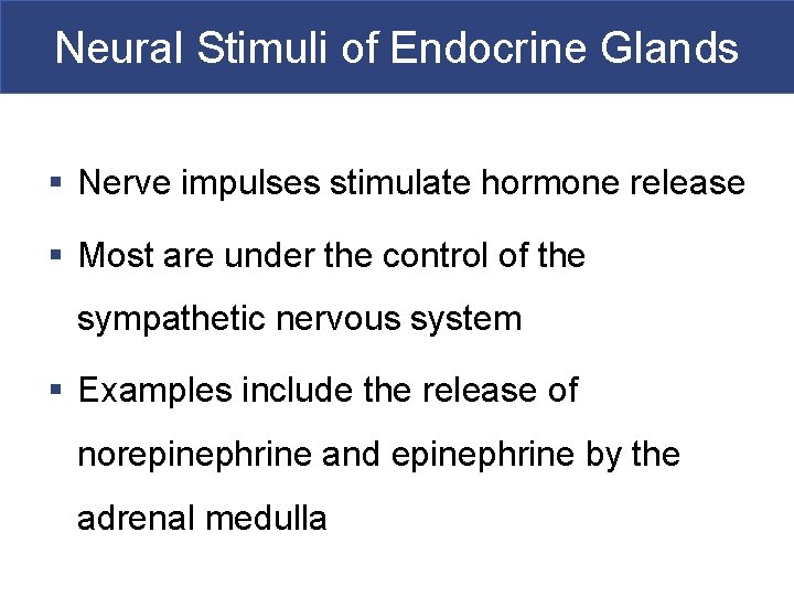 Neural Stimuli of Endocrine Glands § Nerve impulses stimulate hormone release § Most are