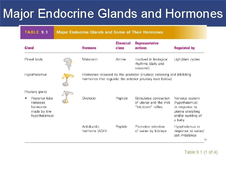 Major Endocrine Glands and Hormones Table 9. 1 (1 of 4) 