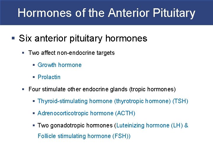 Hormones of the Anterior Pituitary § Six anterior pituitary hormones § Two affect non-endocrine