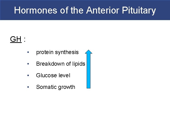 Hormones of the Anterior Pituitary GH : • protein synthesis • Breakdown of lipids
