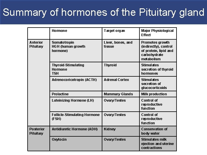 Summary of hormones of the Pituitary gland Anterior Pituitary Posterior Pituitary Hormone Target organ