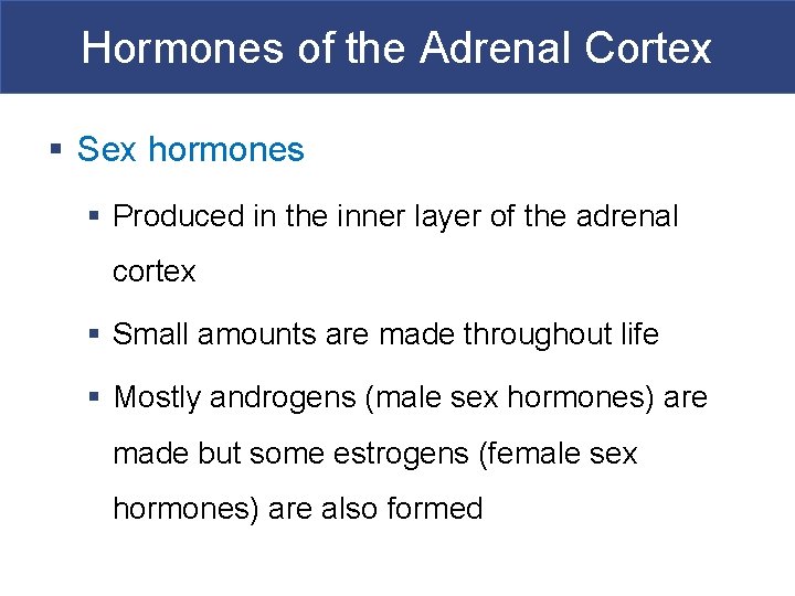 Hormones of the Adrenal Cortex § Sex hormones § Produced in the inner layer