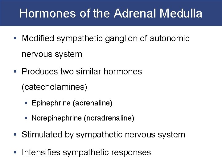 Hormones of the Adrenal Medulla § Modified sympathetic ganglion of autonomic nervous system §