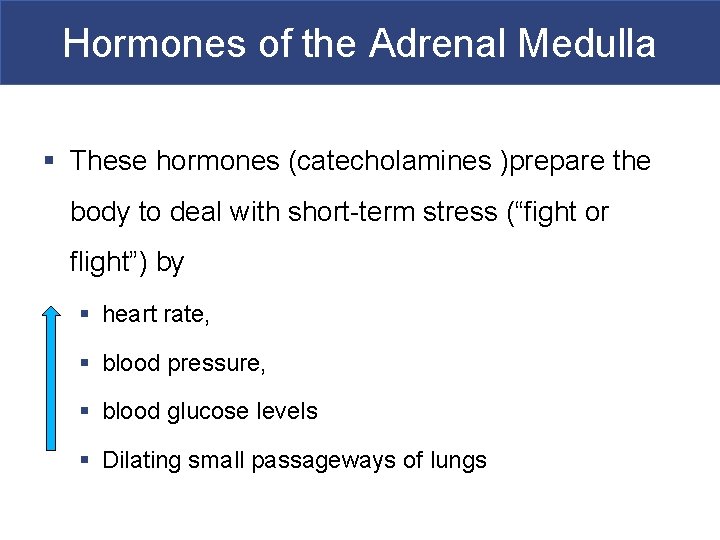 Hormones of the Adrenal Medulla § These hormones (catecholamines )prepare the body to deal