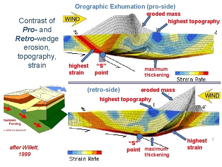 Orographic Exhumation (pro-side) Contrast of Pro- and Retro-wedge erosion, topography, strain eroded mass highest