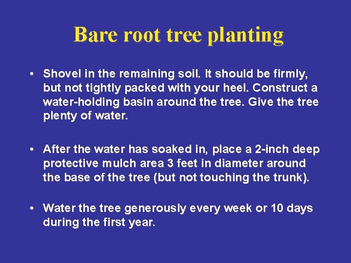 Bare root tree planting • Shovel in the remaining soil. It should be firmly,