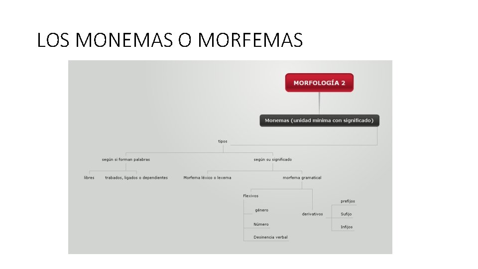 LOS MONEMAS O MORFEMAS 