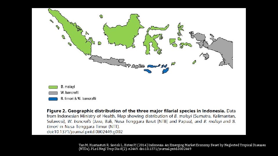 Tan M, Kusriastuti R, Savioli L, Hotez PJ (2014) Indonesia: An Emerging Market Economy