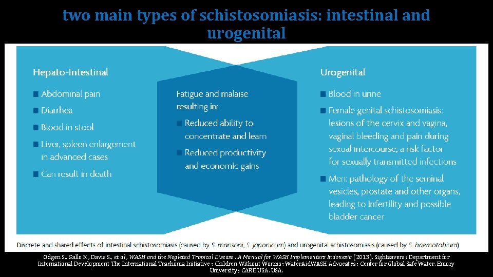 two main types of schistosomiasis: intestinal and urogenital Odgen S. , Gallo K. ,