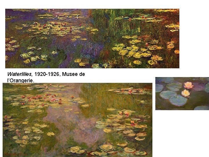 Waterlilies, 1920 -1926, Musee de l’Orangerie. 
