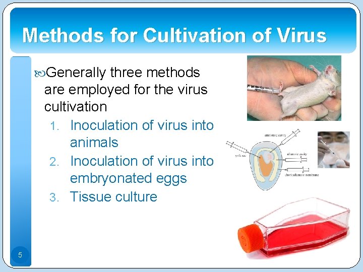Methods for Cultivation of Virus Generally three methods are employed for the virus cultivation