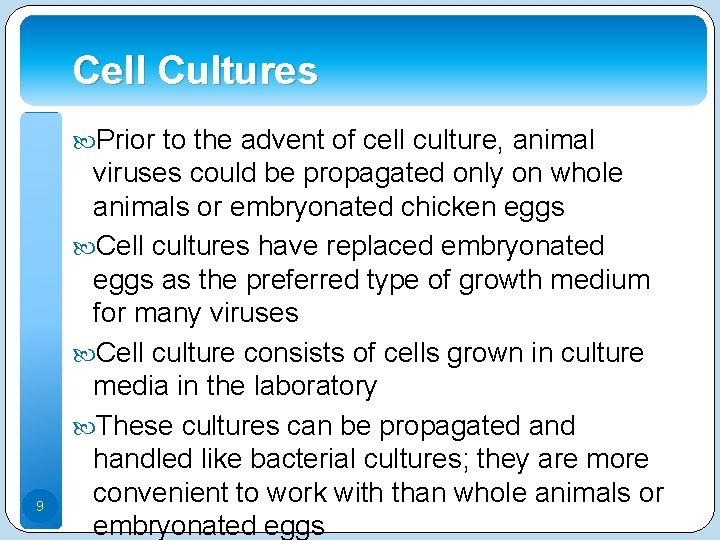 Cell Cultures Prior to the advent of cell culture, animal 9 viruses could be