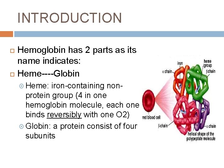 INTRODUCTION Hemoglobin has 2 parts as its name indicates: Heme----Globin Heme: iron-containing nonprotein group