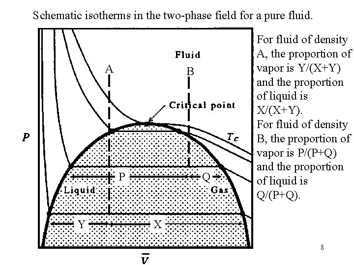 Schematic isotherms in the two-phase field for a pure fluid. A B P Y
