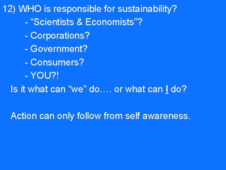 12) WHO is responsible for sustainability? - “Scientists & Economists”? - Corporations? - Government?