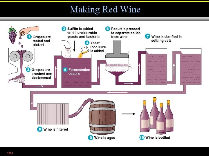 Making Red Wine 2008 Figure 28. 9 