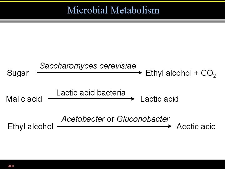 Microbial Metabolism Sugar Saccharomyces cerevisiae Malic acid Ethyl alcohol 2008 Lactic acid bacteria Ethyl