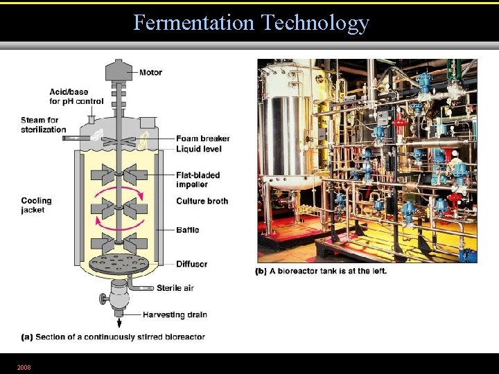 Fermentation Technology 2008 Figure 28. 10 