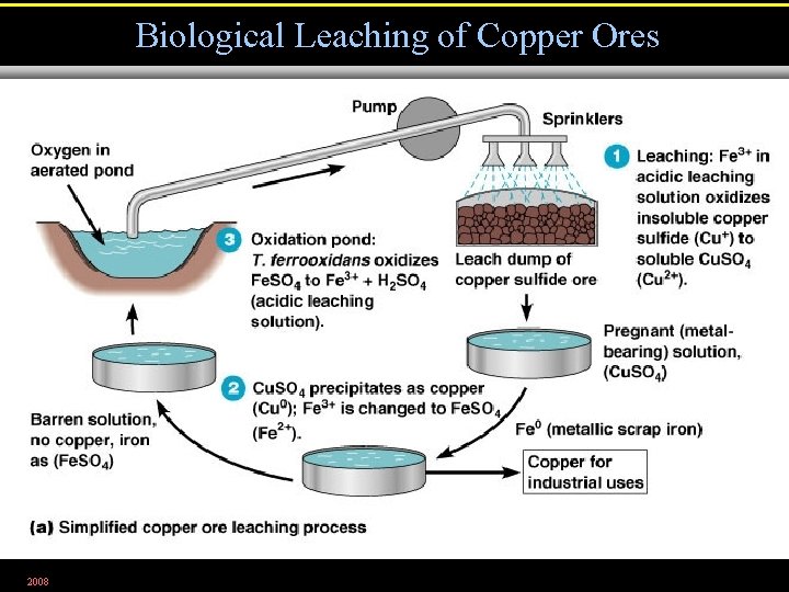 Biological Leaching of Copper Ores 2008 Figure 28. 14 a 
