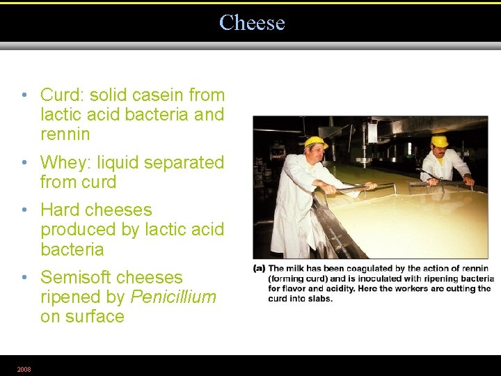 Cheese • Curd: solid casein from lactic acid bacteria and rennin • Whey: liquid