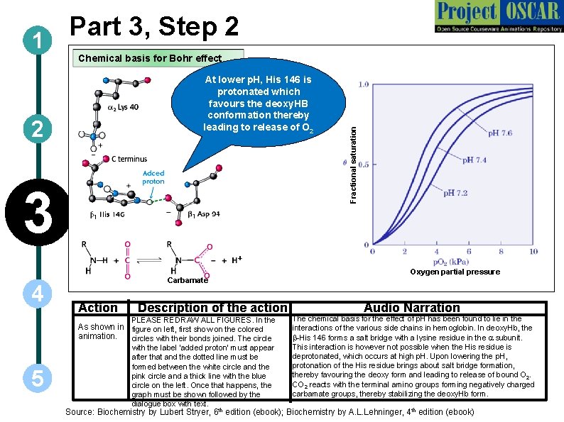 Part 3, Step 2 1 At lower p. H, His 146 is protonated which