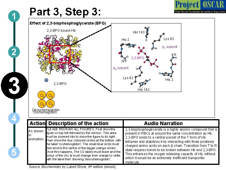 1 Part 3, Step 3: Effect of 2, 3 -bisphoglycerate (BPG) 2, 3 -BPG