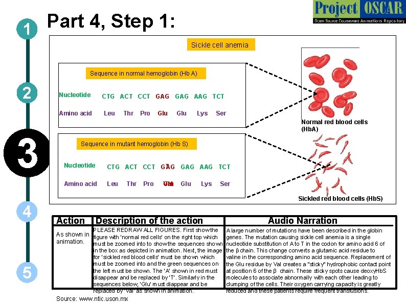 Part 4, Step 1: 1 Sickle cell anemia Sequence in normal hemoglobin (Hb A)