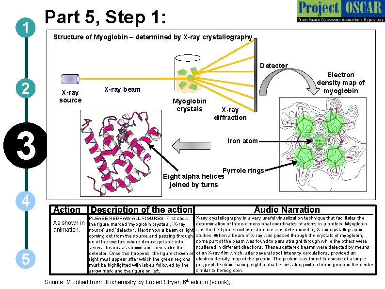 1 Part 5, Step 1: Structure of Myoglobin – determined by X-ray crystallography Detector