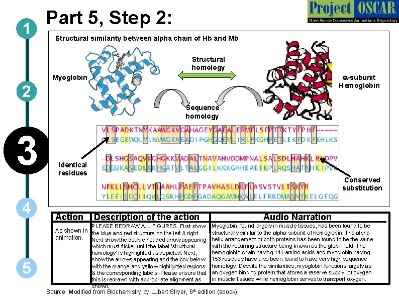 1 Part 5, Step 2: Structural similarity between alpha chain of Hb and Mb