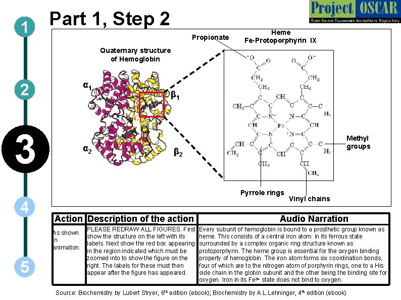 1 Part 1, Step 2 Propionate Heme Fe-Protoporphyrin IX Quaternary structure of Hemoglobin α