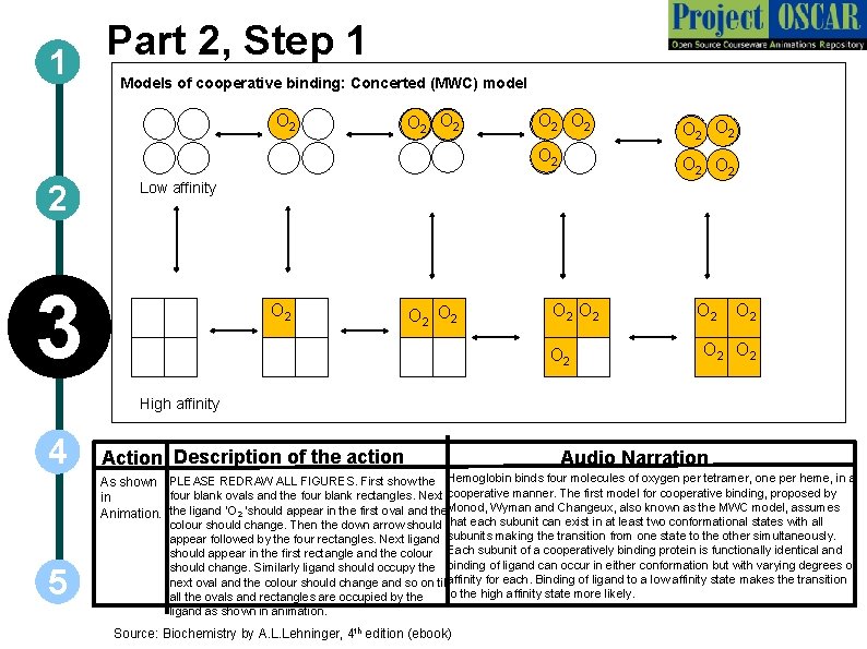 Part 2, Step 1 1 Models of cooperative binding: Concerted (MWC) model O 2