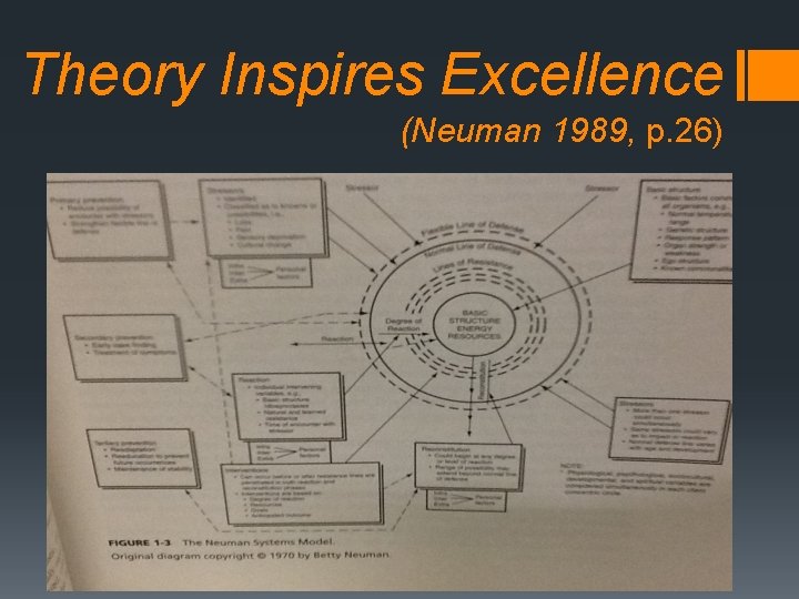 Theory Inspires Excellence (Neuman 1989, p. 26) 