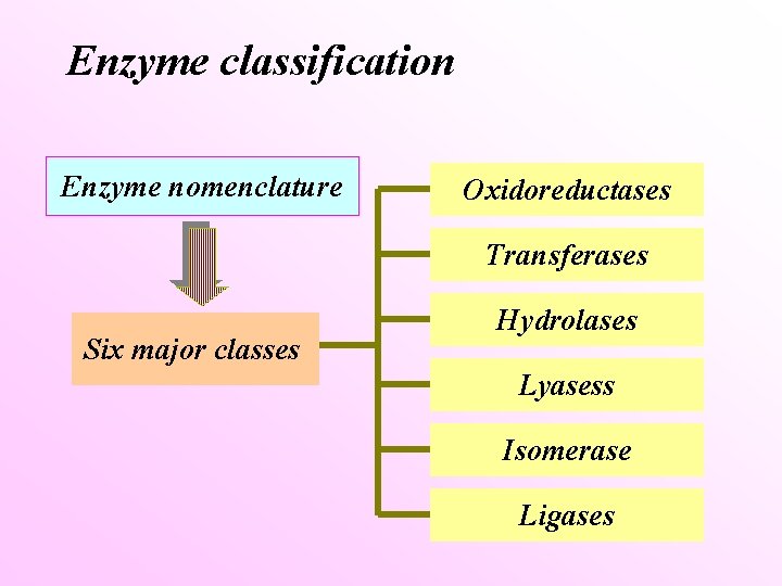 Enzyme classification Enzyme nomenclature Oxidoreductases Transferases Six major classes Hydrolases Lyasess Isomerase Ligases 