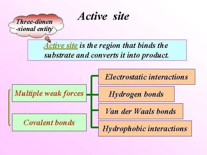 Three-dimen -sional entity Active site is the region that binds the substrate and converts