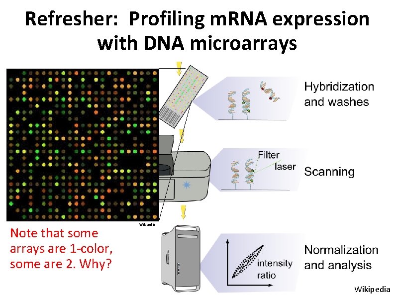 Refresher: Profiling m. RNA expression with DNA microarrays Note that some arrays are 1