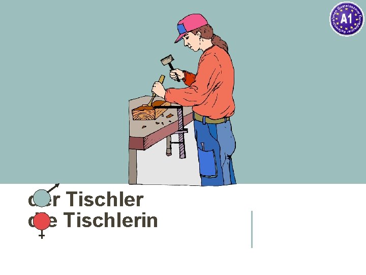 der Tischler die Tischlerin 