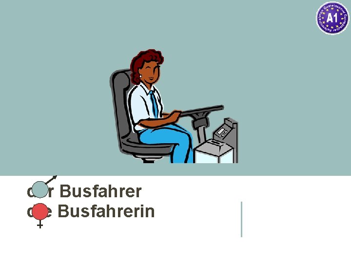 der Busfahrer die Busfahrerin 